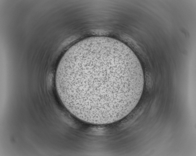 X0000113020071200909241644