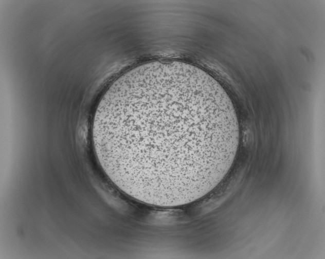 X0000113020072200909241644