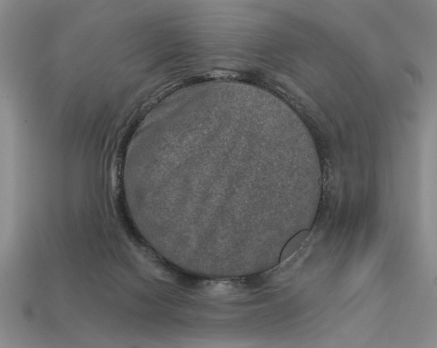 X0000113020074200909241644