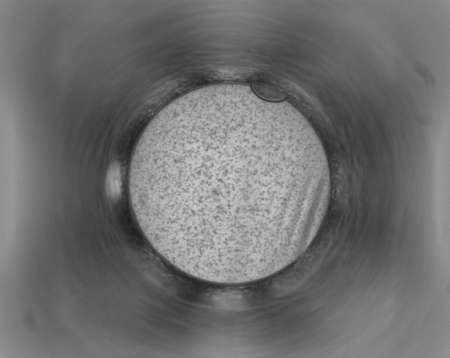 X0000113020075200909241644