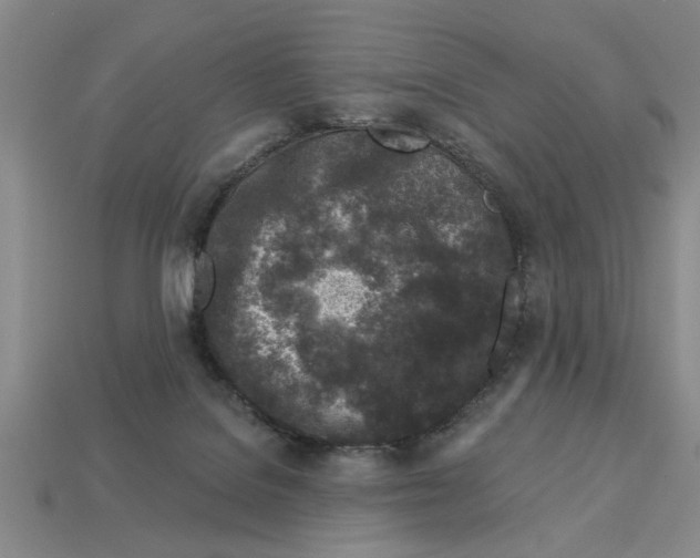 X0000113020076200909241644