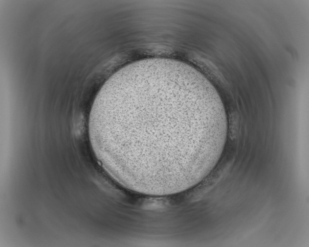 X0000113020077200909241644