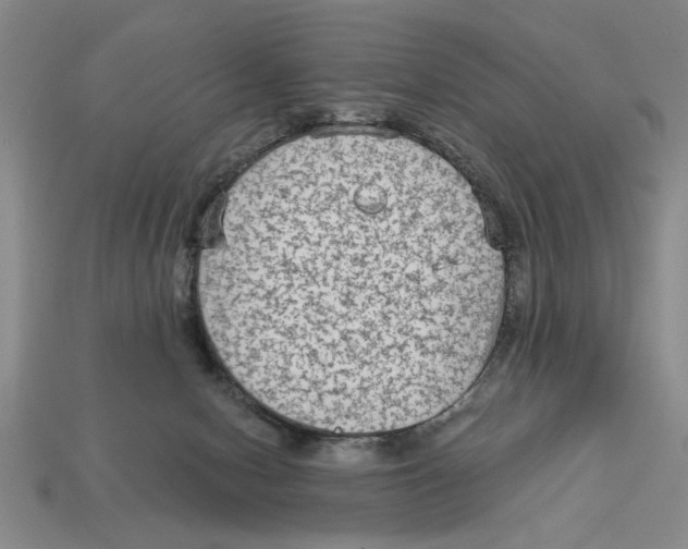 X0000113020078200909241644