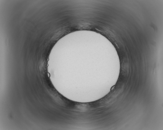 X0000113020079200909241644