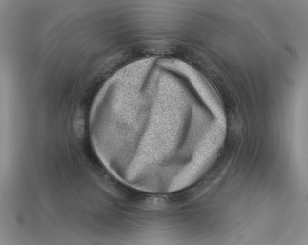 X0000113020080200909241644