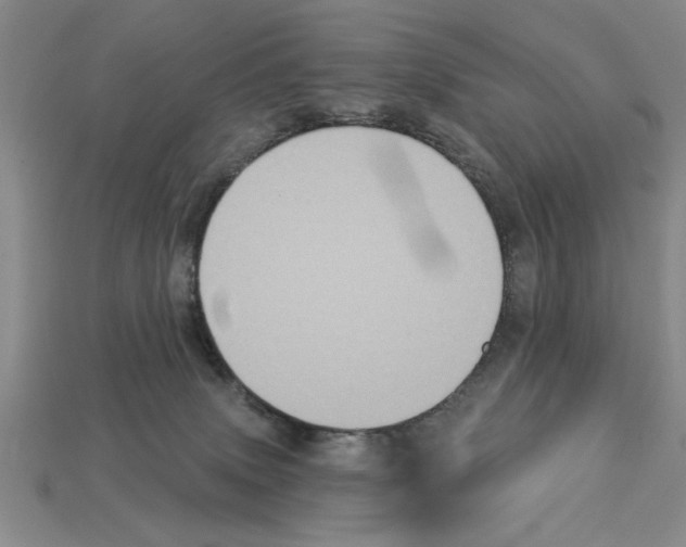 X0000113020083200909241644