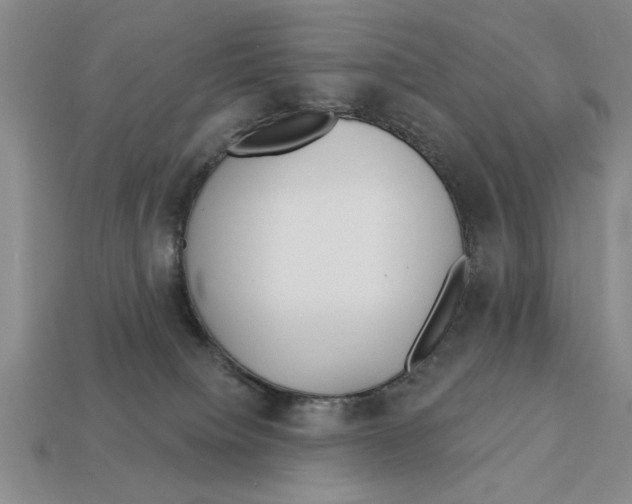 X0000113020084200909241644