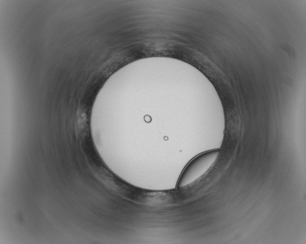 X0000113020087200909241644