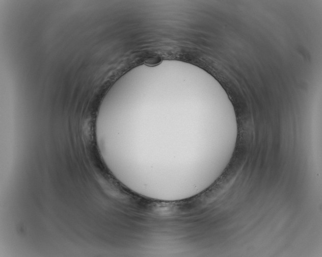 X0000113020088200909241644