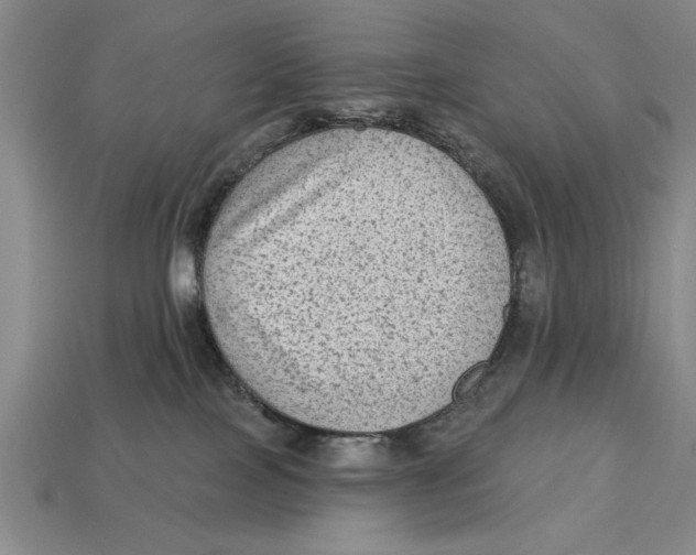 X0000113020089200909241644