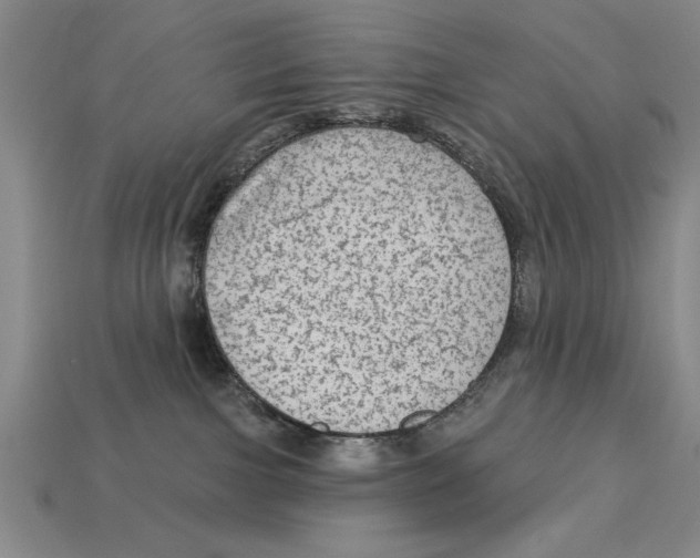 X0000113020091200909241644