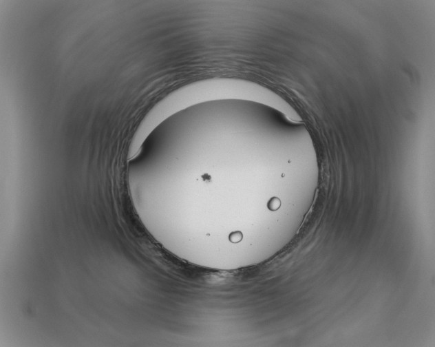 X0000113020092200909241644