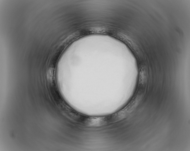 X0000113020093200909241644