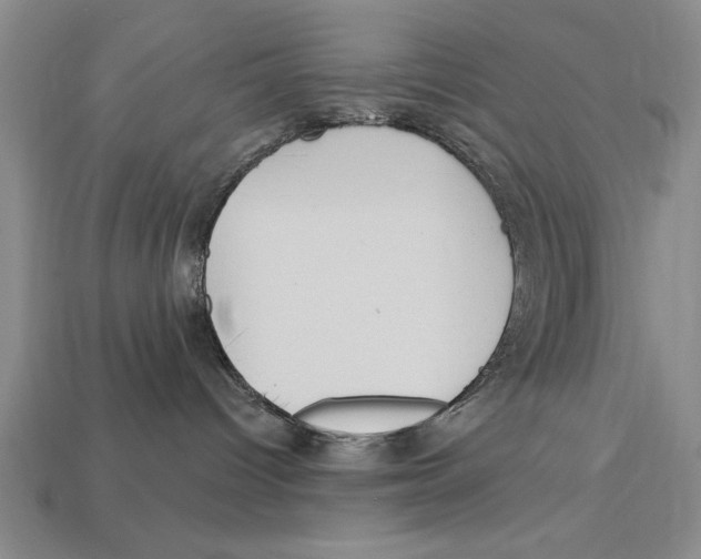 X0000113020096200909241645