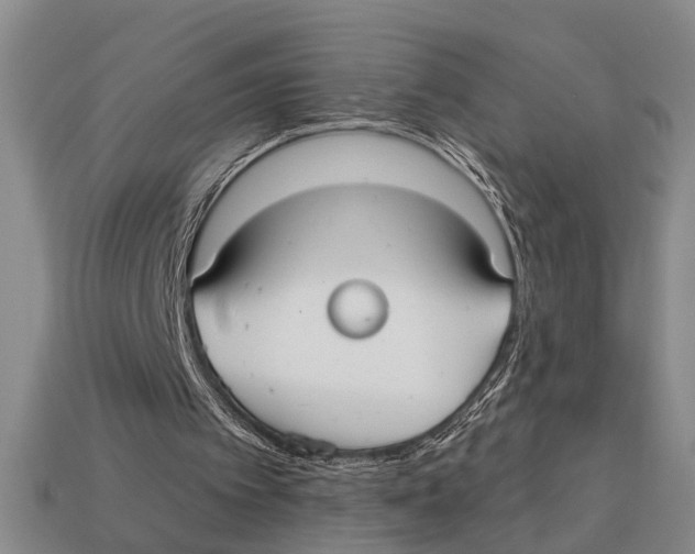 X0000113020097200909241644