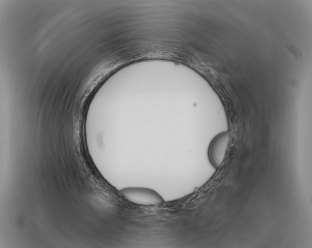 X0000113020098200909241644