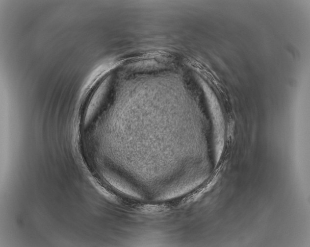 X0000113020101200909241644