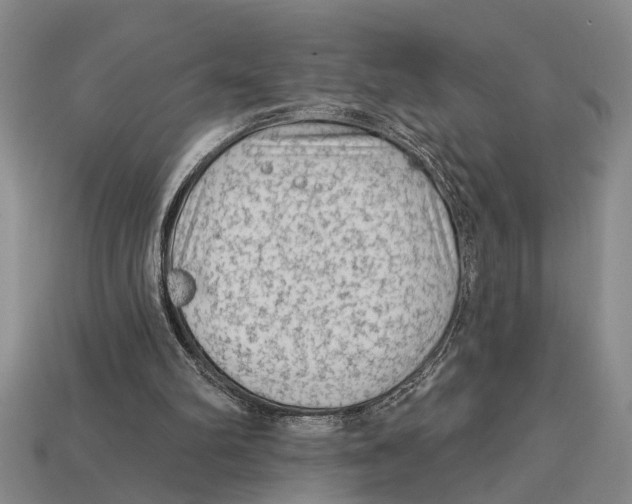 X0000113020102200909241644