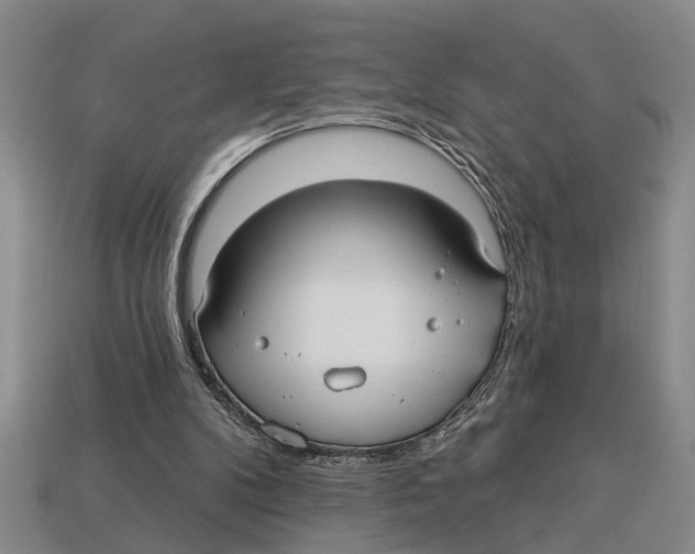 X0000113020104200909241644