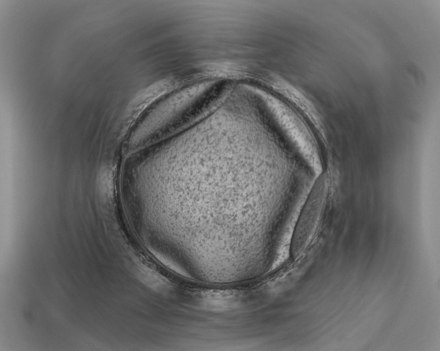 X0000113020105200909241644