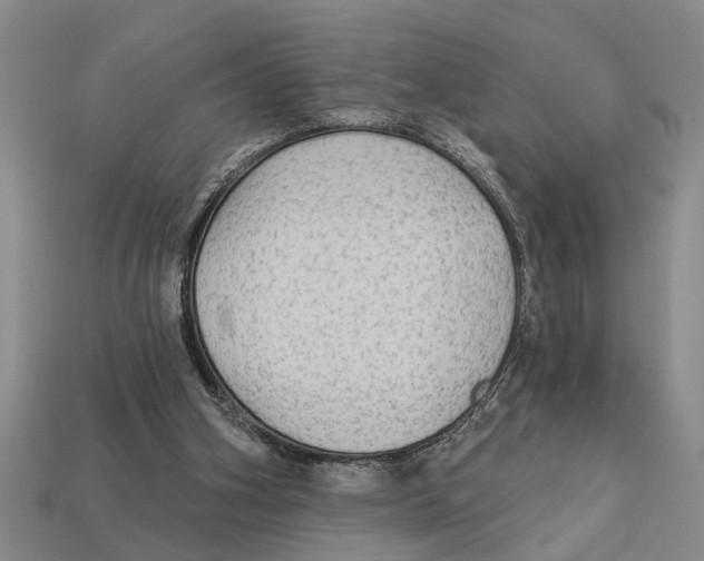 X0000113020106200909241644