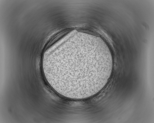 X0000113020107200909241644