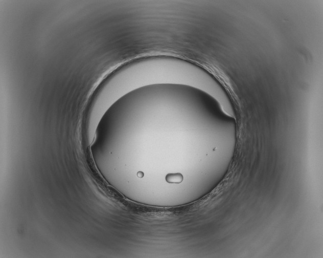 X0000113020108200909241644