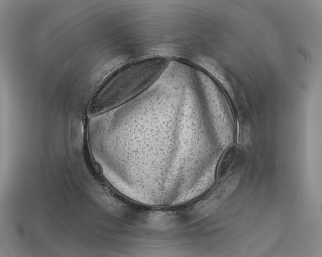 X0000113020109200909241643