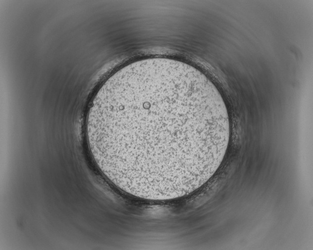 X0000113020111200909241643