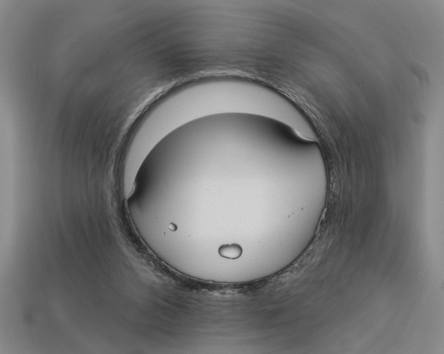 X0000113020112200909241643