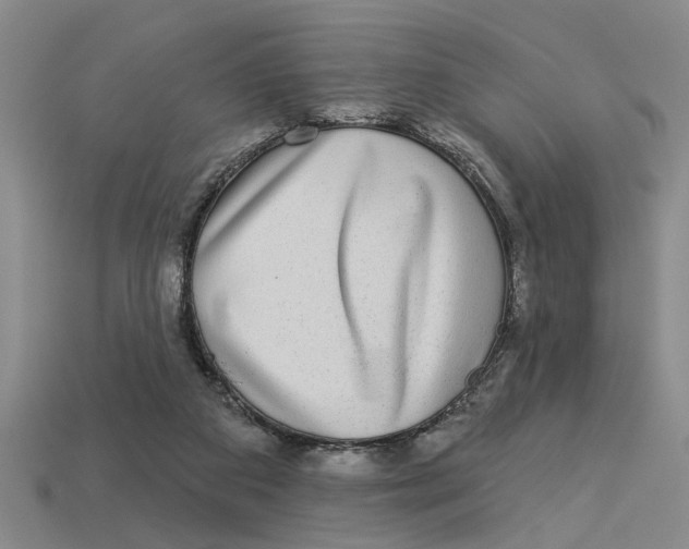 X0000113020113200909241643