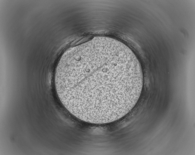 X0000113020115200909241643