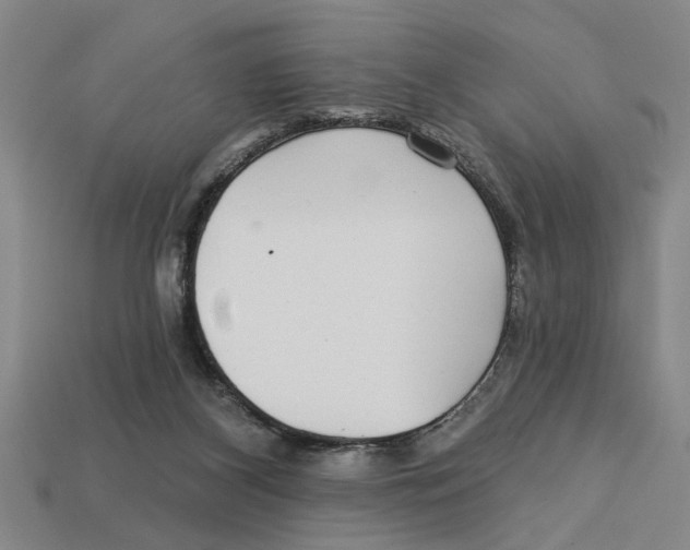 X0000113020116200909241643