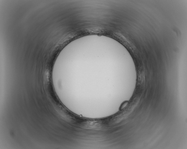 X0000113020117200909241643