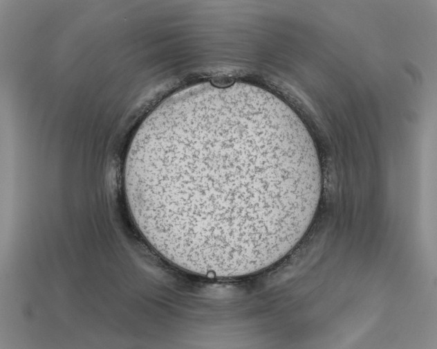 X0000113020119200909241643