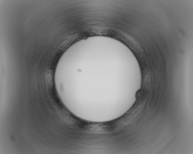 X0000113020121200909241643