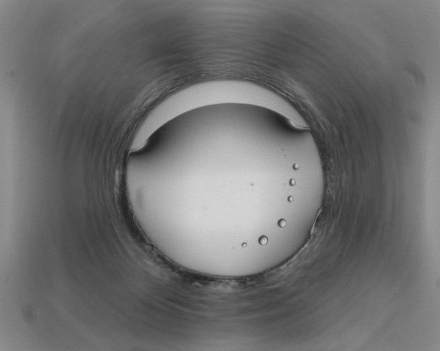 X0000113020124200909241643