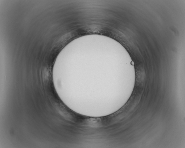 X0000113020126200909241643