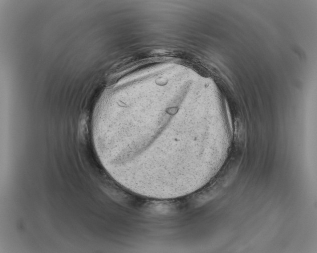 X0000113020127200909241643