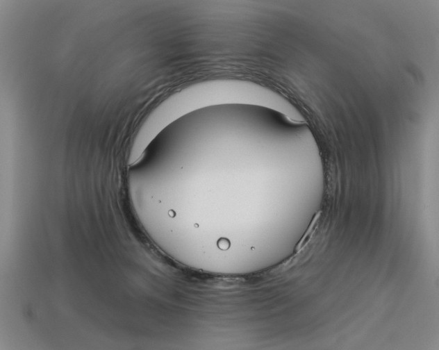 X0000113020128200909241643