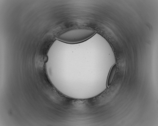 X0000113020129200909241643