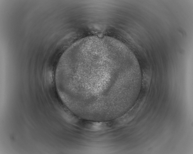 X0000113020130200909241643