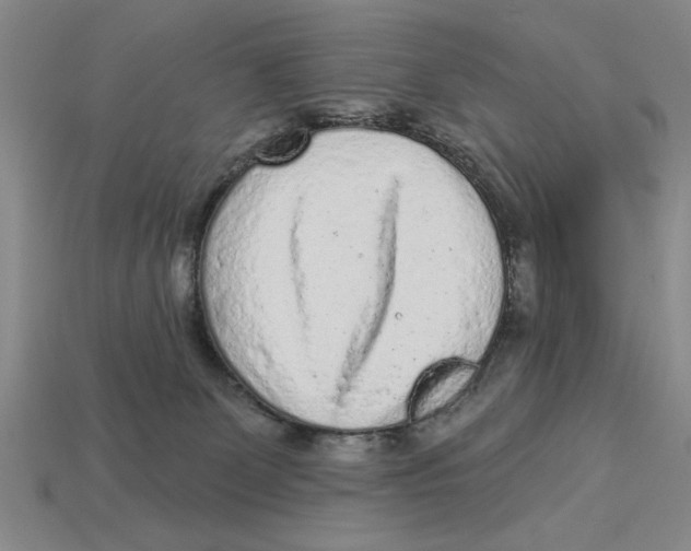 X0000113020131200909241643