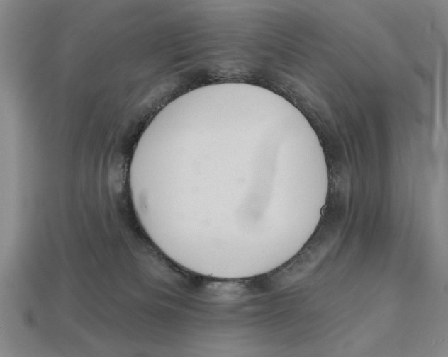 X0000113020133200909241643