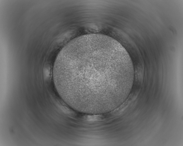 X0000113020134200909241643