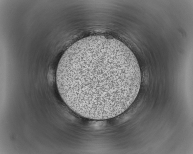 X0000113020135200909241643