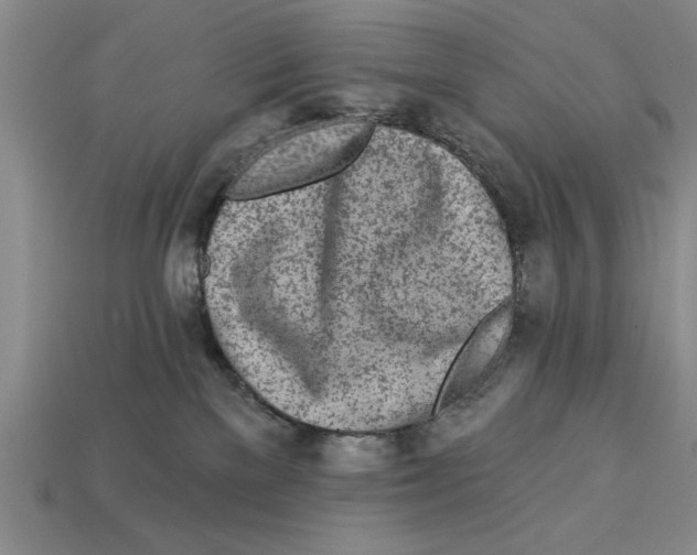 X0000113020137200909241643