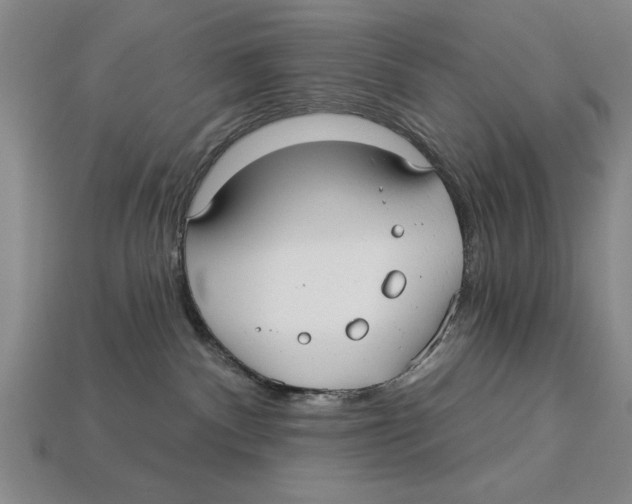 X0000113020140200909241643