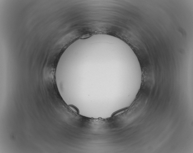 X0000113020141200909241643