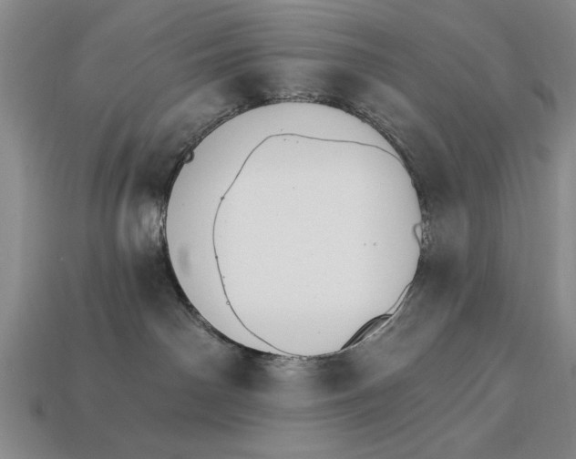 X0000113020142200909241643